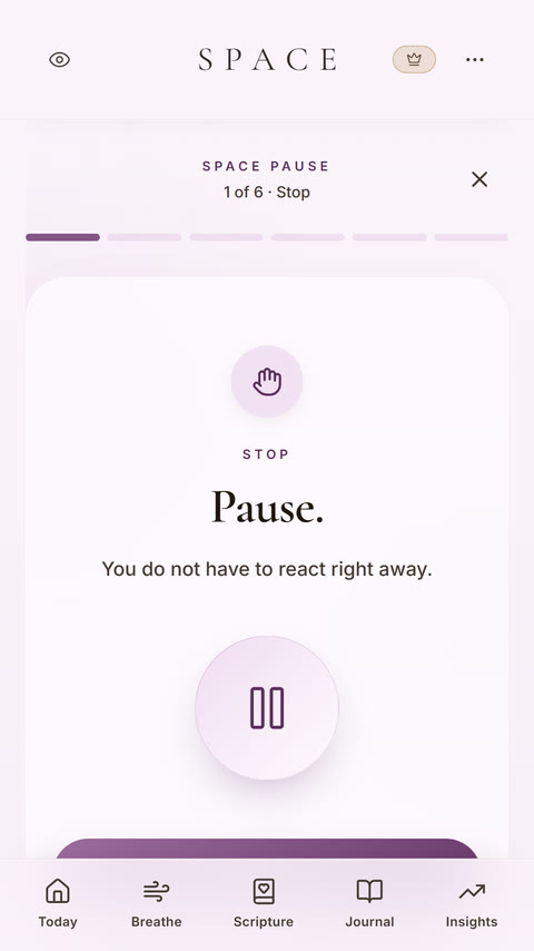 SPACE Pause, step 1 of 6: Stop. Pause. You do not have to react right away.
